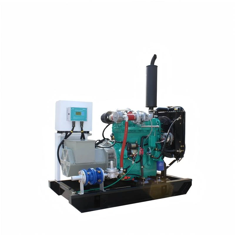 Generador de biog&aacute;s de gas de 20KW GLP 30KW